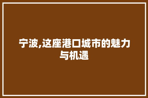 宁波,这座港口城市的魅力与机遇