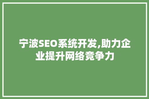 宁波SEO系统开发,助力企业提升网络竞争力