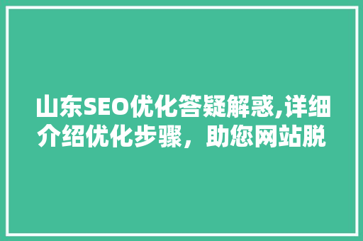 山东SEO优化答疑解惑,详细介绍优化步骤，助您网站脱颖而出