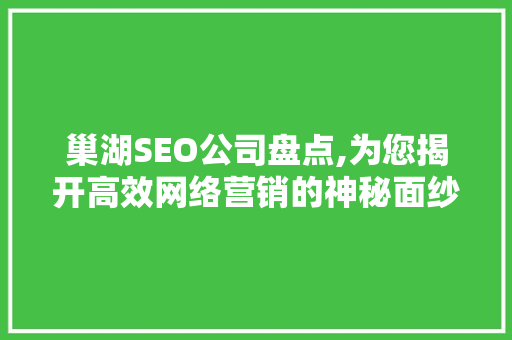 巢湖SEO公司盘点,为您揭开高效网络营销的神秘面纱
