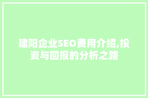 建阳企业SEO费用介绍,投资与回报的分析之路