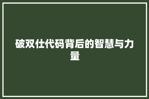 破双仕代码背后的智慧与力量