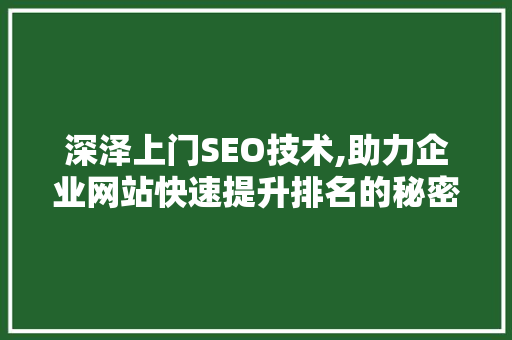 深泽上门SEO技术,助力企业网站快速提升排名的秘密武器