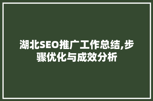 湖北SEO推广工作总结,步骤优化与成效分析