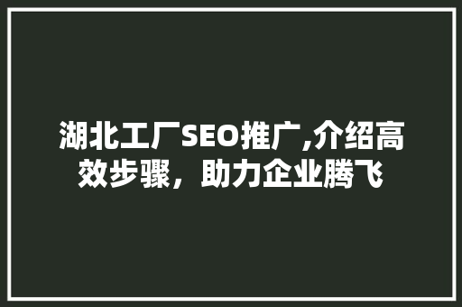 湖北工厂SEO推广,介绍高效步骤，助力企业腾飞