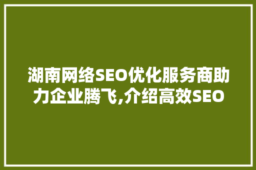 湖南网络SEO优化服务商助力企业腾飞,介绍高效SEO步骤