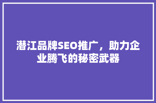 潜江品牌SEO推广，助力企业腾飞的秘密武器