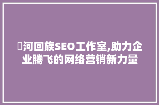 瀍河回族SEO工作室,助力企业腾飞的网络营销新力量