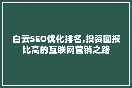 白云SEO优化排名,投资回报比高的互联网营销之路