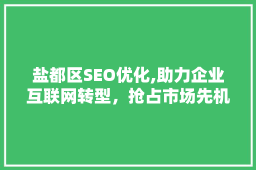 盐都区SEO优化,助力企业互联网转型，抢占市场先机