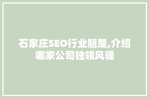 石家庄SEO行业翘楚,介绍哪家公司独领风骚
