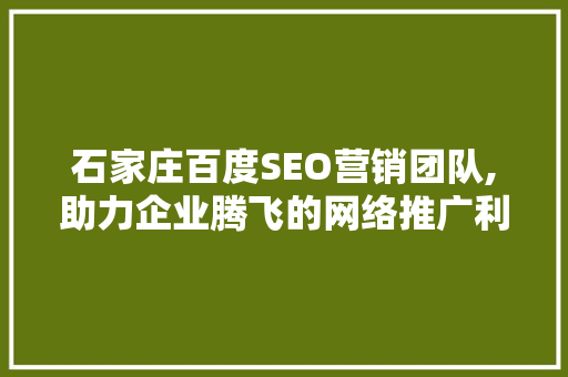 石家庄百度SEO营销团队,助力企业腾飞的网络推广利器