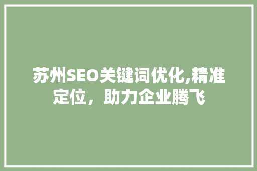 苏州SEO关键词优化,精准定位，助力企业腾飞
