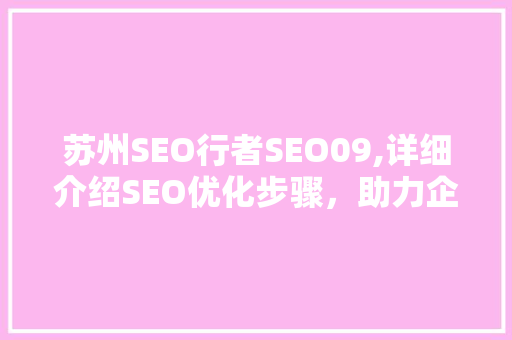 苏州SEO行者SEO09,详细介绍SEO优化步骤，助力企业提升在线竞争力