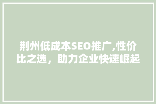 荆州低成本SEO推广,性价比之选，助力企业快速崛起