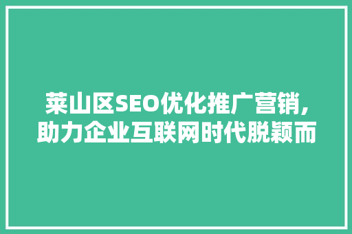 莱山区SEO优化推广营销,助力企业互联网时代脱颖而出
