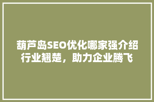 葫芦岛SEO优化哪家强介绍行业翘楚，助力企业腾飞