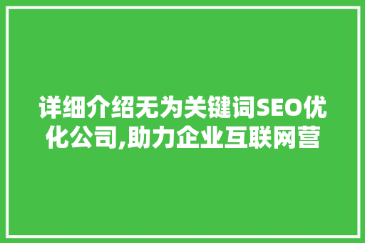 详细介绍无为关键词SEO优化公司,助力企业互联网营销新篇章