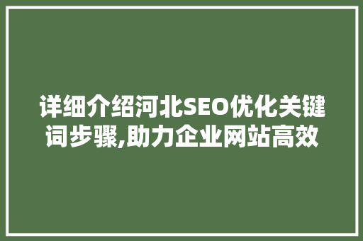 详细介绍河北SEO优化关键词步骤,助力企业网站高效排名