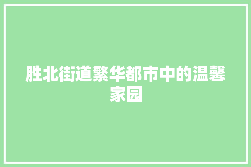 胜北街道繁华都市中的温馨家园
