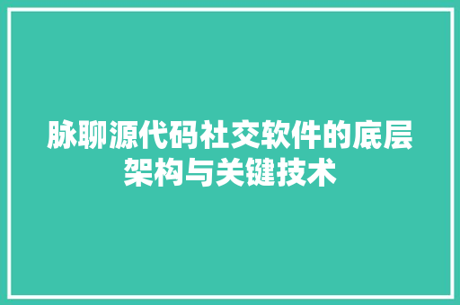 脉聊源代码社交软件的底层架构与关键技术