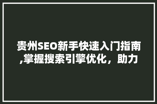 贵州SEO新手快速入门指南,掌握搜索引擎优化，助力网站腾飞