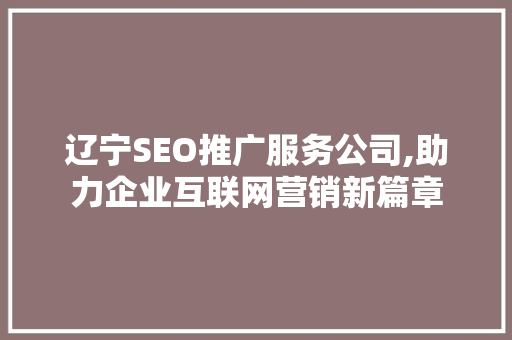 辽宁SEO推广服务公司,助力企业互联网营销新篇章