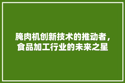 腌肉机创新技术的推动者，食品加工行业的未来之星
