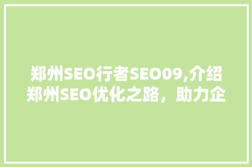 郑州SEO行者SEO09,介绍郑州SEO优化之路，助力企业腾飞