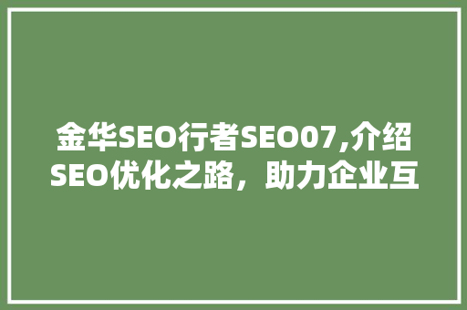金华SEO行者SEO07,介绍SEO优化之路，助力企业互联网营销