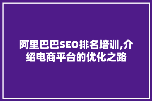 阿里巴巴SEO排名培训,介绍电商平台的优化之路