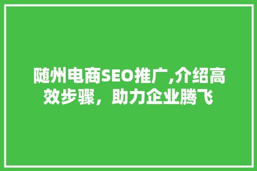 随州电商SEO推广,介绍高效步骤，助力企业腾飞