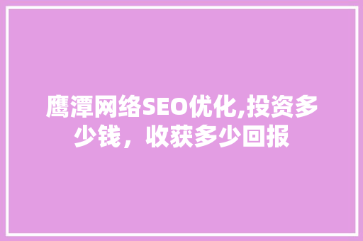 鹰潭网络SEO优化,投资多少钱，收获多少回报