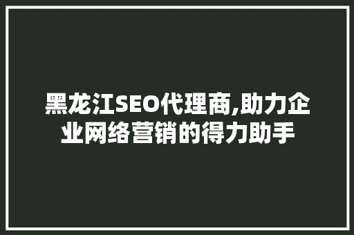 黑龙江SEO代理商,助力企业网络营销的得力助手