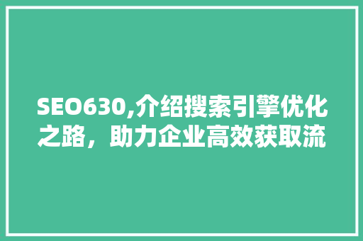 SEO630,介绍搜索引擎优化之路，助力企业高效获取流量