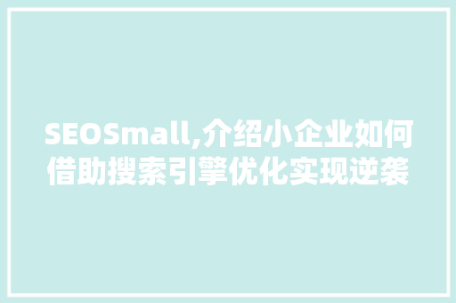 SEOSmall,介绍小企业如何借助搜索引擎优化实现逆袭