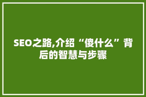 SEO之路,介绍“傻什么”背后的智慧与步骤