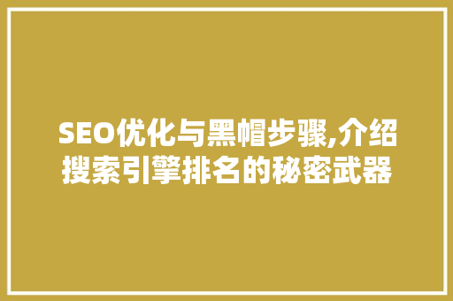SEO优化与黑帽步骤,介绍搜索引擎排名的秘密武器