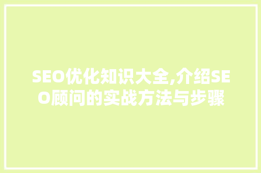 SEO优化知识大全,介绍SEO顾问的实战方法与步骤