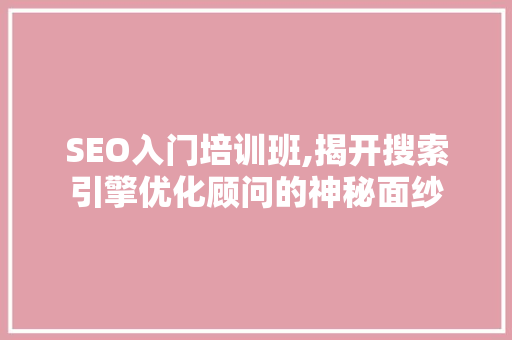 SEO入门培训班,揭开搜索引擎优化顾问的神秘面纱