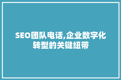 SEO团队电话,企业数字化转型的关键纽带