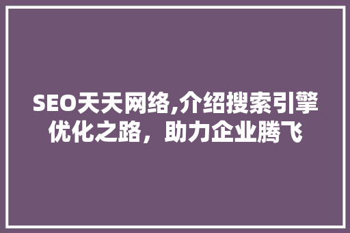 SEO天天网络,介绍搜索引擎优化之路，助力企业腾飞