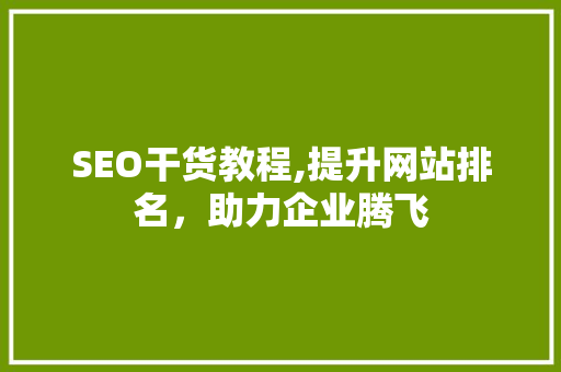 SEO干货教程,提升网站排名，助力企业腾飞