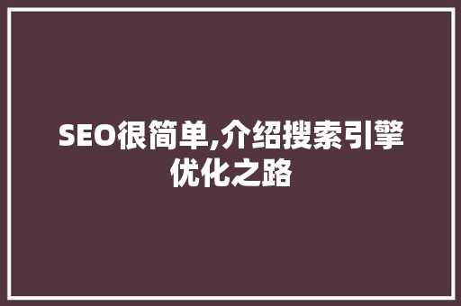 SEO很简单,介绍搜索引擎优化之路