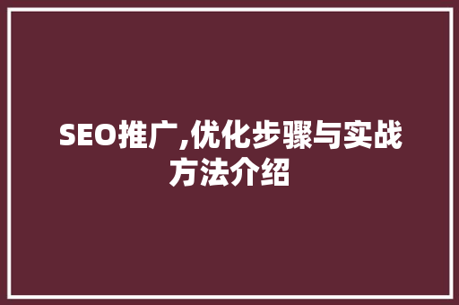 SEO推广,优化步骤与实战方法介绍