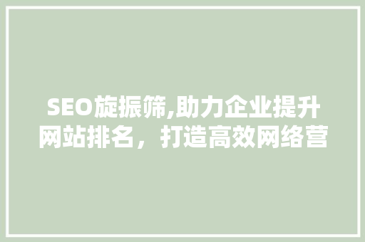 SEO旋振筛,助力企业提升网站排名，打造高效网络营销步骤