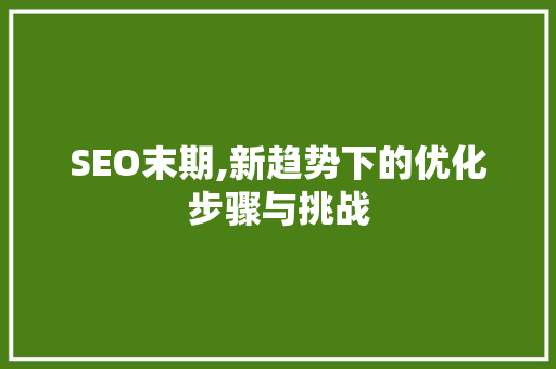 SEO末期,新趋势下的优化步骤与挑战