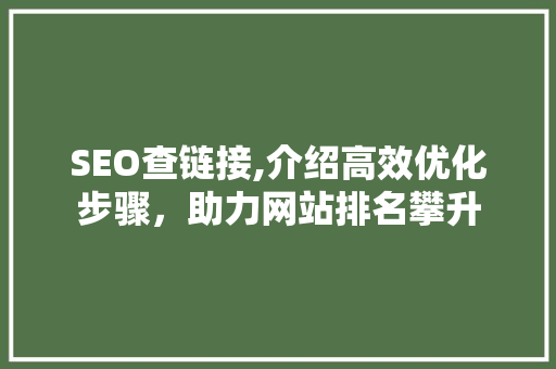SEO查链接,介绍高效优化步骤，助力网站排名攀升