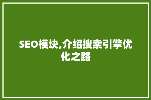 SEO模块,介绍搜索引擎优化之路