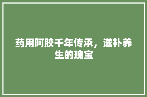 药用阿胶千年传承，滋补养生的瑰宝